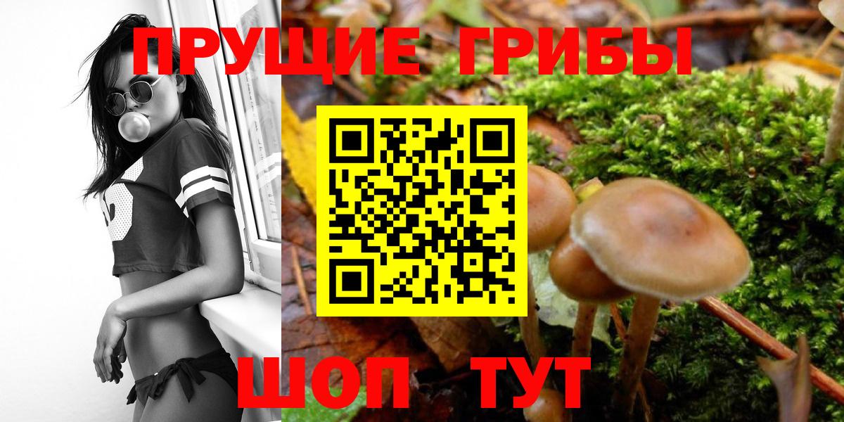 Каменск-Уральский  Псилоцибиновые грибы MAGIC MUSHROOMS  Вход с VPN 
