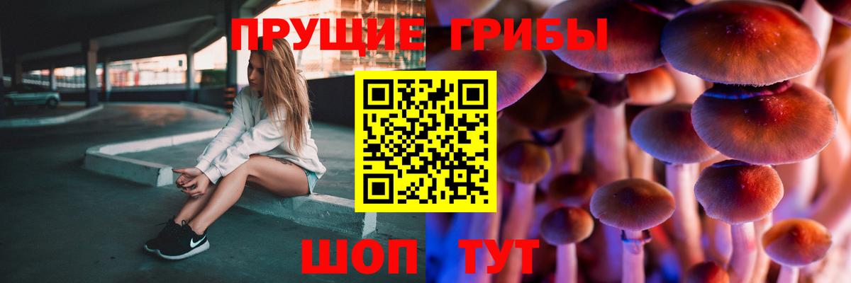 Псилоцибиновые грибы мухоморы Каменск-Уральский